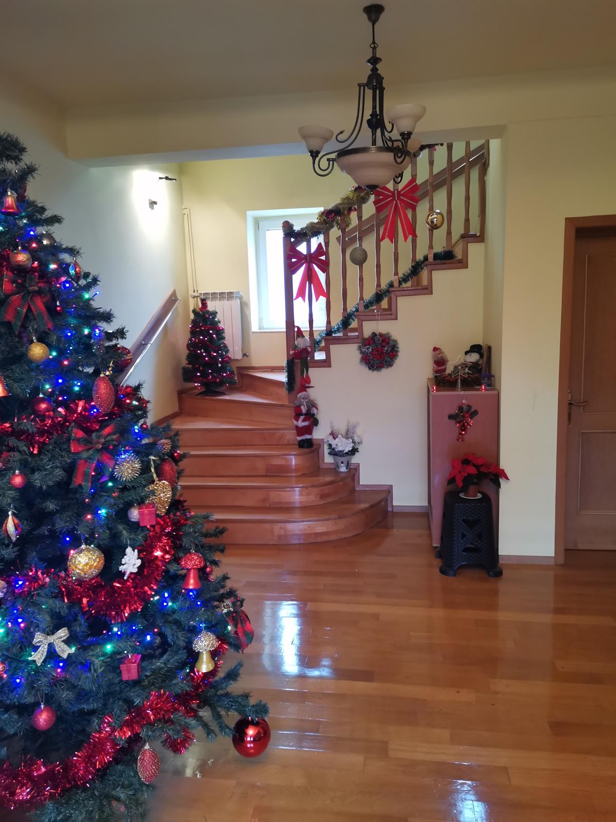 Echipa noastră cu rezidenții